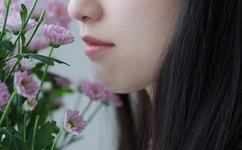 向日葵西瓜黄瓜丝瓜葫芦